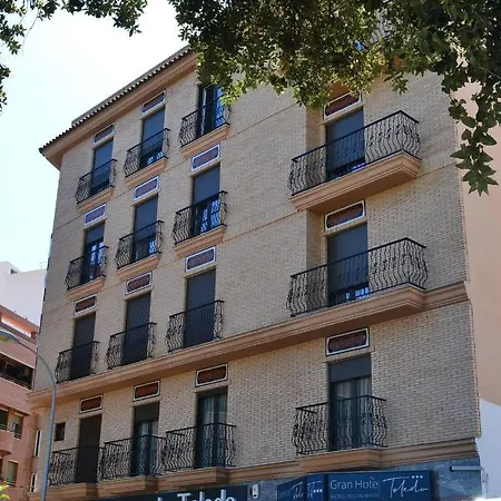 Отель Gran Toledo 3*